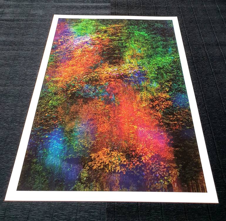 Original Abstract Botanic Photography by Viet Ha Tran