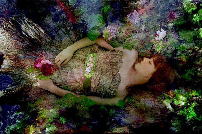 Magic Forest Limited Edition Of Photography By Viet Ha Tran Saatchi Art