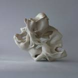 Hollows 6 by Sharon Brill