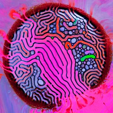 Ferrofluid pink 312 - Limited Edition 1 of 8 thumb