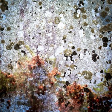 Original Abstract Photography by Paslier Morgan