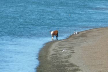 Puerto Madryn thumb