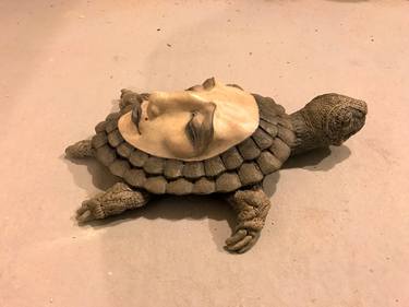 Turtle of Life thumb