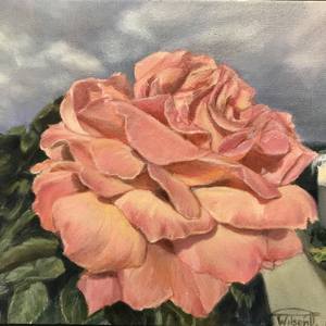 Swiss roses