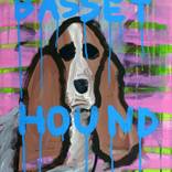 BASSET HOUND by Michael Bojara
