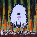BERGAMASCO by Michael Bojara