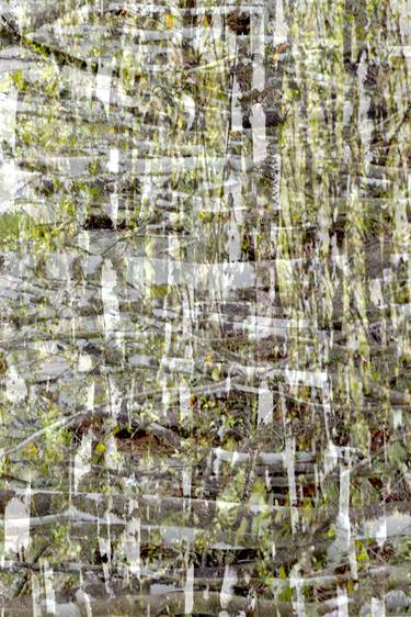 Print of Abstract Expressionism Nature Photography by Jean Désy