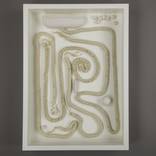 A relic of the earth by IKUKO Iwamoto