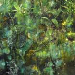 Green emergence and disappearance by Carola Schapals