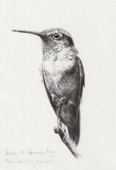 Original Realism Animal Drawing by Pedro Rodriguez Fernandez