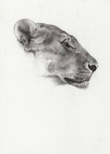 Print of Photorealism Animal Drawings by Pedro Rodriguez Fernandez