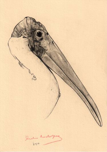 Painted Stork thumb