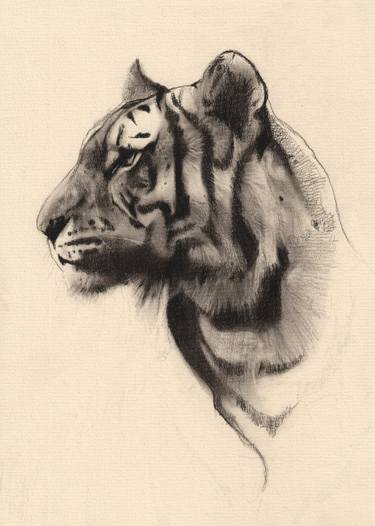 Print of Realism Animal Drawings by Pedro Rodriguez Fernandez