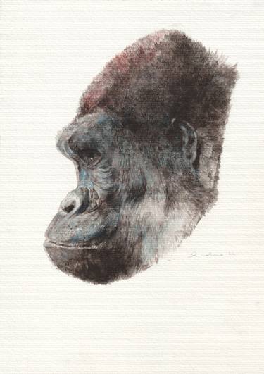 Print of Animal Paintings by Pedro Rodriguez Fernandez