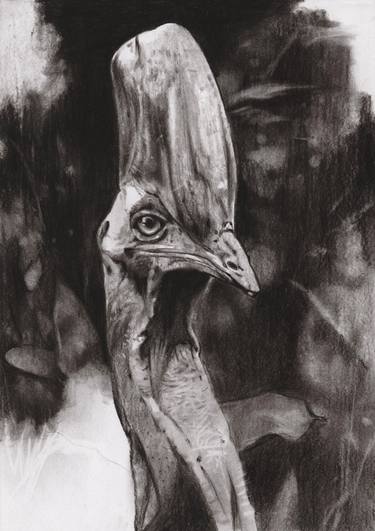 Print of Animal Drawings by Pedro Rodriguez Fernandez