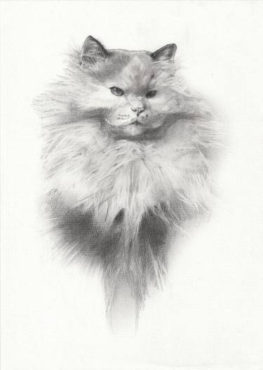 Original Realism Animal Drawings by Pedro Rodriguez Fernandez