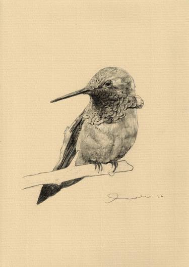 Print of Animal Drawings by Pedro Rodriguez Fernandez