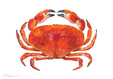 Watercolour Crab thumb