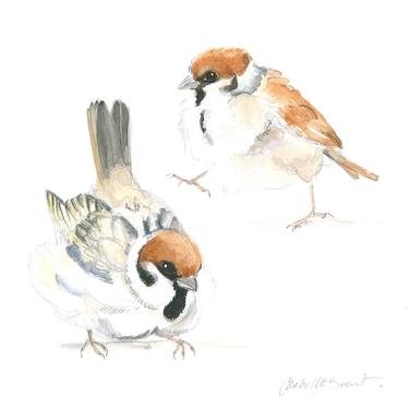 Original Animal Drawings by ISABELLE BRENT