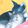Cat Siesta detail