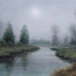 Misty trees by vishalandra m dakur