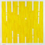 Collection Inspired by Ellsworth Kelly