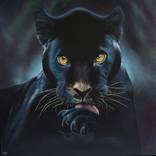 Black Panther by Susan Taylor