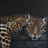 Here's looking at you kid by Susan Taylor