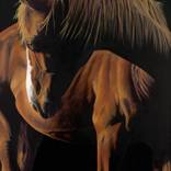 Last Rays of Sunshine by Susan Taylor