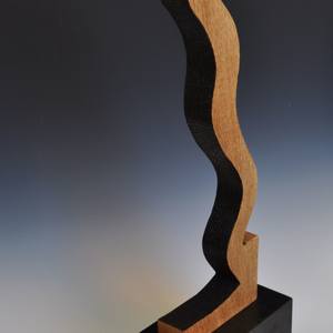 Collection Year of the Snake