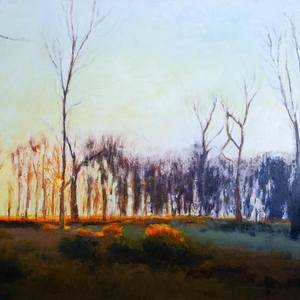 Collection Big Sky Country: Western Landscapes