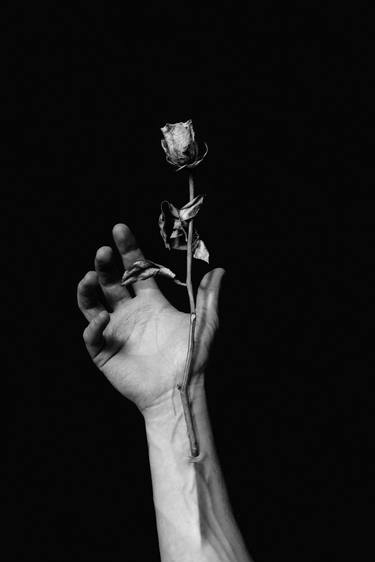 Rose and Veins thumb