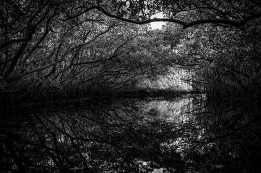 Emerson Point Preserve Mangrove Tunnel No. 2 - Florida thumb