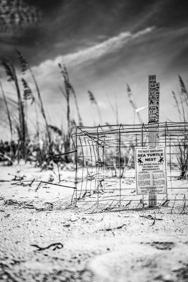 Original Documentary Beach Photography by Steve Hartman
