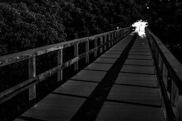 Mangrove Tunnel - Florida thumb