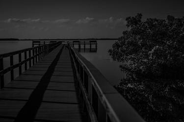 Pier and Mangrove in the Moonlight - Florida Gulf Coast thumb