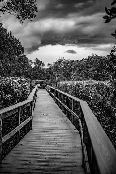 Terra Ceia Bay Pier Walking Path - Florida thumb