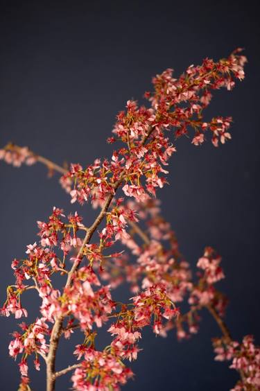 Original Minimalism Floral Photography by Steve Hartman