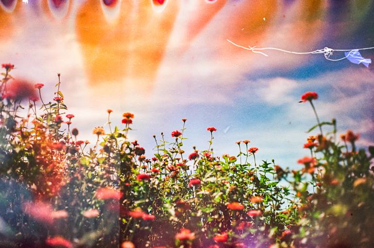 Original  Photography by steve hartman