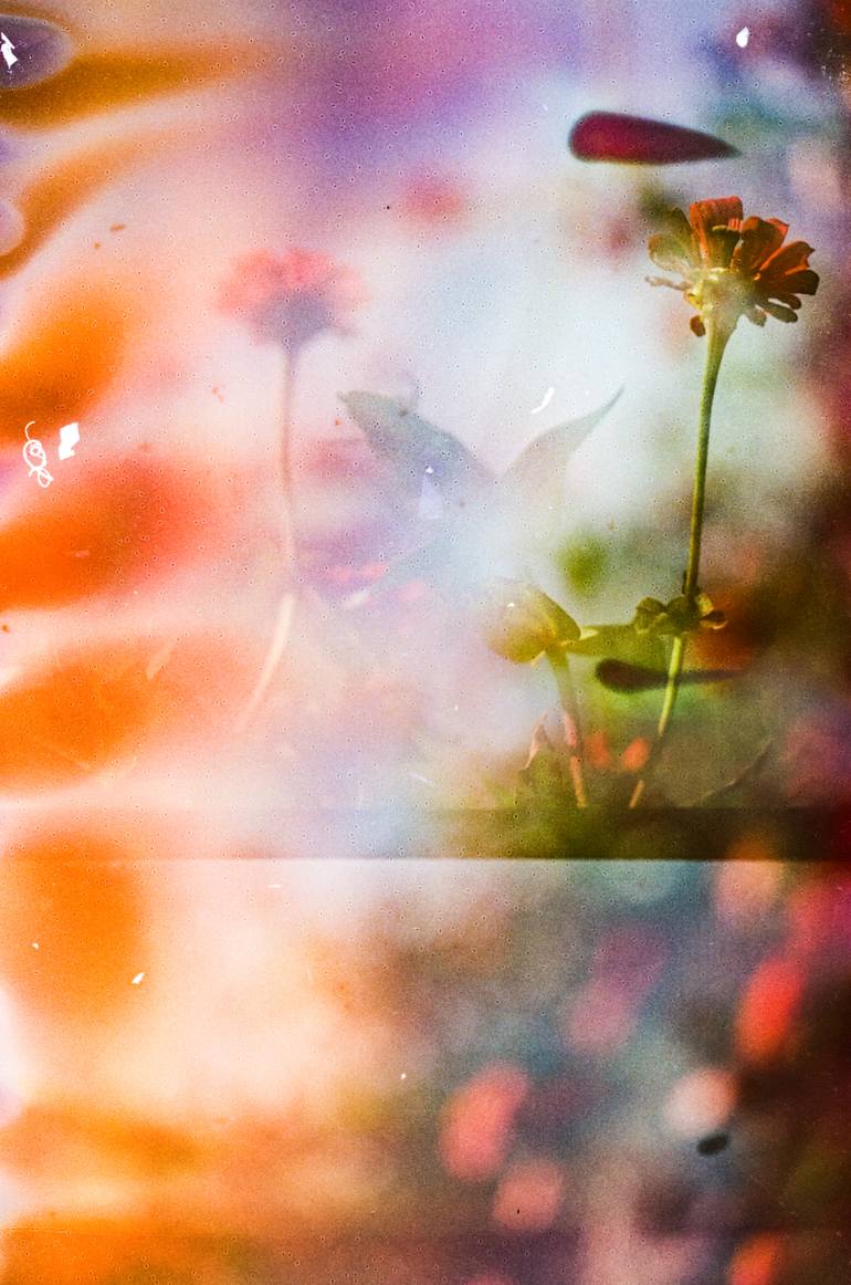 Original  Photography by steve hartman