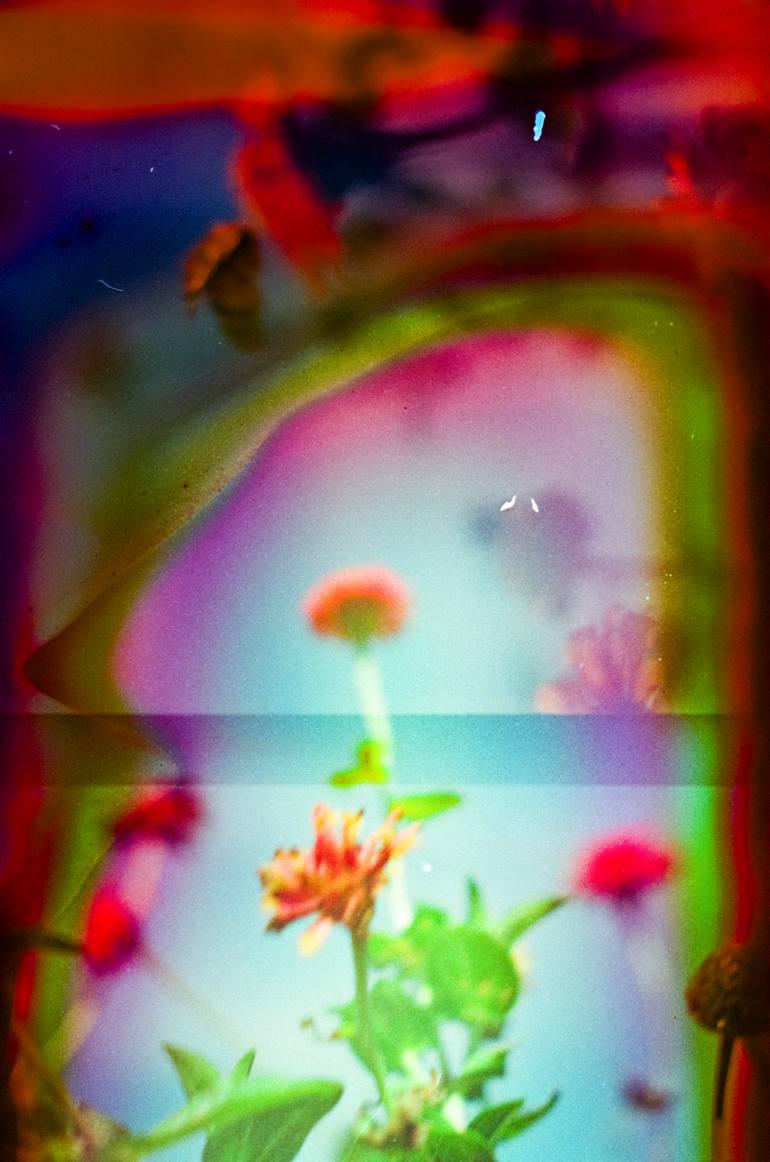 Original  Photography by steve hartman