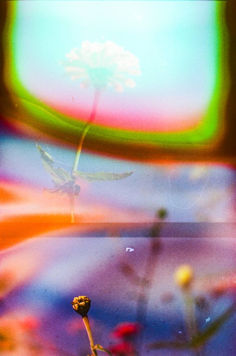 Original  Photography by steve hartman