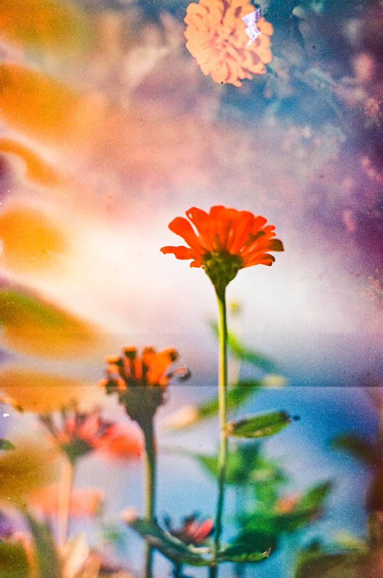 Original  Photography by steve hartman