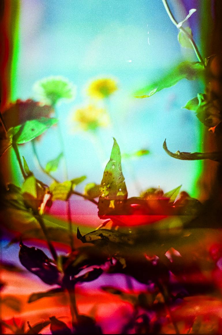 Original  Photography by steve hartman