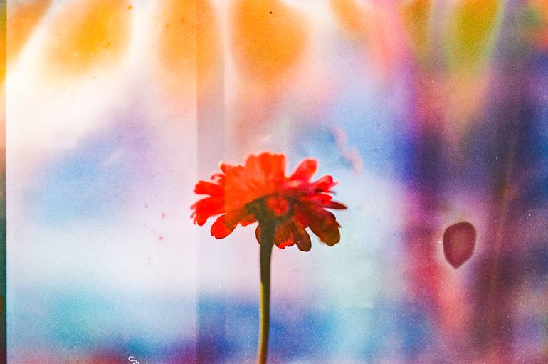 Original  Photography by steve hartman