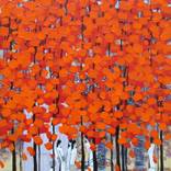 Collection Fall 2018 Catalog