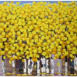 Collection International Bestsellers