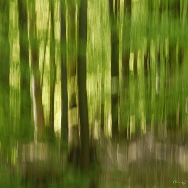 Original Impressionism Abstract Photography by Gottfried Roemer