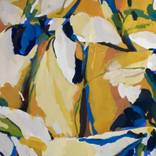 Collection Filipe Final