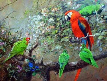 "Parrots" Ruben Franco Jamie thumb